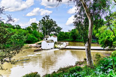 Guadaira kıyısındaki Mill de San Juan, Sevilla, Alcal de Guadaira 'daki Oromana parkının içinde.