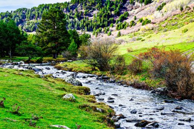 Montgarri Vadisi 'nin yanındaki Montgarri Mabedi Lrida Pirenes, Katalonya, İspanya' daki Alto Aran belediyesinde yer almaktadır.