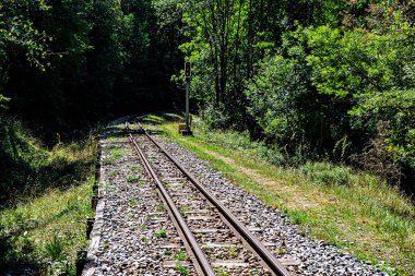 Ormanın doğasından geçen boş demiryolu hattı. Metal raylar