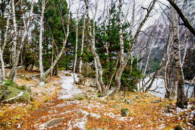 Autumn forest of Sant Maurici Lake with snowy path in Aiges Tortes National Park, in the Pyrenees of Lleida, Catalonia, Spain clipart