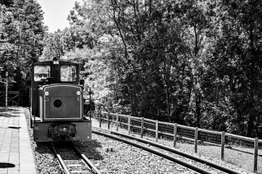 Ormanın doğasından geçen boş demiryolu hattı. Metal raylar.