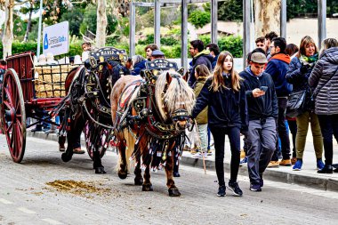 Igualada, Barselona, İspanya; 19 Ocak 2025: İgualada 'nın Üç Mezarı Festivali. Antik Igualada Traginers loncasının 203. yıldönümünde şehir sokaklarında turlar.. 