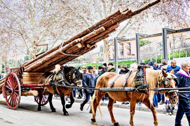 Igualada, Barselona, İspanya; 19 Ocak 2025: İgualada 'nın Üç Mezarı Festivali. Antik Igualada Traginers loncasının 203. yıldönümünde şehir sokaklarında turlar.. 