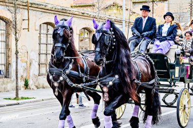Igualada, Barselona, İspanya; 19 Ocak 2025: İgualada 'nın Üç Mezarı Festivali. Antik Igualada Traginers loncasının 203. yıldönümünde şehir sokaklarında turlar.. 