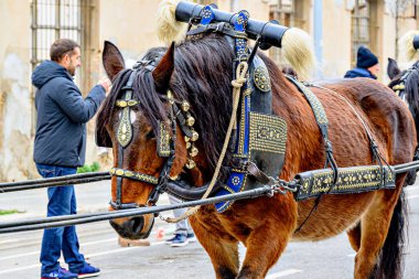 Igualada, Barselona, İspanya; 19 Ocak 2025: İgualada 'nın Üç Mezarı Festivali. Antik Igualada Traginers loncasının 203. yıldönümünde şehir sokaklarında turlar.. 