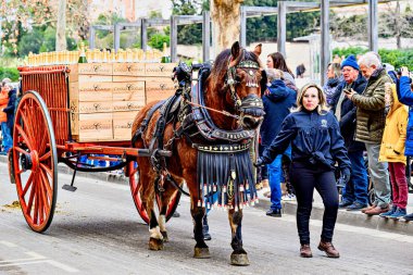 Igualada, Barselona, İspanya; 19 Ocak 2025: İgualada 'nın Üç Mezarı Festivali. Antik Igualada Traginers loncasının 203. yıldönümünde şehir sokaklarında turlar.. 