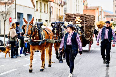 Igualada, Barselona, İspanya; 19 Ocak 2025: İgualada 'nın Üç Mezarı Festivali. Antik Igualada Traginers loncasının 203. yıldönümünde şehir sokaklarında turlar.. 