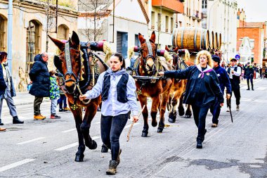 Igualada, Barselona, İspanya; 19 Ocak 2025: İgualada 'nın Üç Mezarı Festivali. Antik Igualada Traginers loncasının 203. yıldönümünde şehir sokaklarında turlar.. 