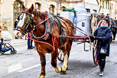Igualada, Barselona, İspanya; 19 Ocak 2025: İgualada 'nın Üç Mezarı Festivali. Antik Igualada Traginers loncasının 203. yıldönümünde şehir sokaklarında turlar.. 