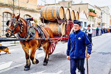 Igualada, Barselona, İspanya; 19 Ocak 2025: İgualada 'nın Üç Mezarı Festivali. Antik Igualada Traginers loncasının 203. yıldönümünde şehir sokaklarında turlar.. 