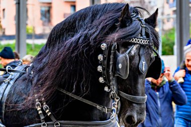 Igualada, Barselona, İspanya; 19 Ocak 2025: İgualada 'nın Üç Mezarı Festivali. Antik Igualada Traginers loncasının 203. yıldönümünde şehir sokaklarında turlar.. 