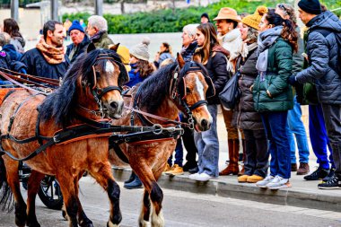 Igualada, Barselona, İspanya; 19 Ocak 2025: İgualada 'nın Üç Mezarı Festivali. Antik Igualada Traginers loncasının 203. yıldönümünde şehir sokaklarında turlar.. 