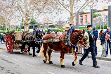 Igualada, Barselona, İspanya; 19 Ocak 2025: İgualada 'nın Üç Mezarı Festivali. Antik Igualada Traginers loncasının 203. yıldönümünde şehir sokaklarında turlar.. 