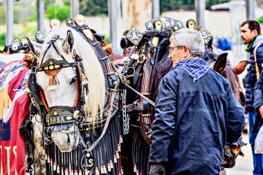 Igualada, Barselona, İspanya; 19 Ocak 2025: İgualada 'nın Üç Mezarı Festivali. Antik Igualada Traginers loncasının 203. yıldönümünde şehir sokaklarında turlar.. 