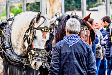Igualada, Barselona, İspanya; 19 Ocak 2025: İgualada 'nın Üç Mezarı Festivali. Antik Igualada Traginers loncasının 203. yıldönümünde şehir sokaklarında turlar.. 