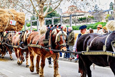 Igualada, Barselona, İspanya; 19 Ocak 2025: İgualada 'nın Üç Mezarı Festivali. Antik Igualada Traginers loncasının 203. yıldönümünde şehir sokaklarında turlar.. 