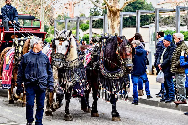 Igualada, Barselona, İspanya; 19 Ocak 2025: İgualada 'nın Üç Mezarı Festivali. Antik Igualada Traginers loncasının 203. yıldönümünde şehir sokaklarında turlar.. 