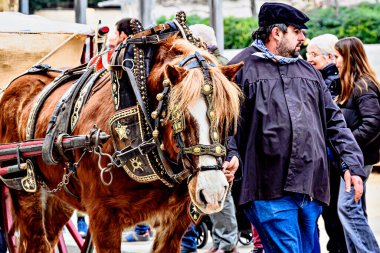 Igualada, Barselona, İspanya; 19 Ocak 2025: İgualada 'nın Üç Mezarı Festivali. Antik Igualada Traginers loncasının 203. yıldönümünde şehir sokaklarında turlar.