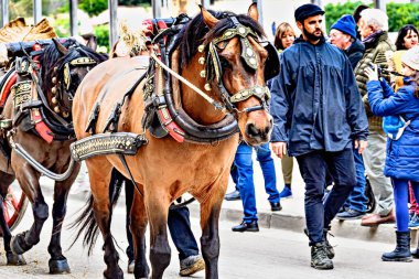 Igualada, Barselona, İspanya; 19 Ocak 2025: İgualada 'nın Üç Mezarı Festivali. Antik Igualada Traginers loncasının 203. yıldönümünde şehir sokaklarında turlar.