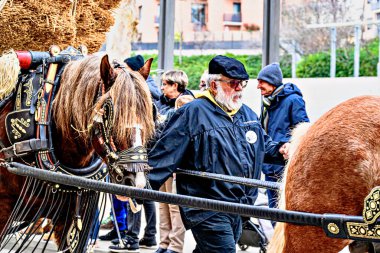 Igualada, Barselona, İspanya; 19 Ocak 2025: İgualada 'nın Üç Mezarı Festivali. Antik Igualada Traginers loncasının 203. yıldönümünde şehir sokaklarında turlar.