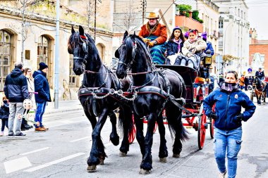 Igualada, Barselona, İspanya; 19 Ocak 2025: İgualada 'nın Üç Mezarı Festivali. Antik Igualada Traginers loncasının 203. yıldönümünde şehir sokaklarında turlar.