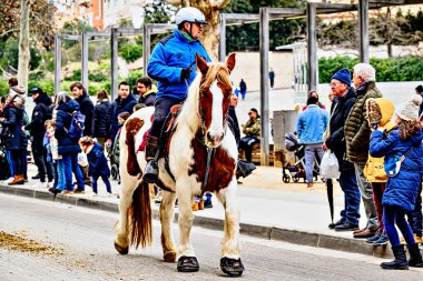 Igualada, Barselona, İspanya; 19 Ocak 2025: Igualada Üç Mezar Festivali. Antik Igualada Traginers loncasının 203. yıldönümünde şehir sokaklarında turlar.