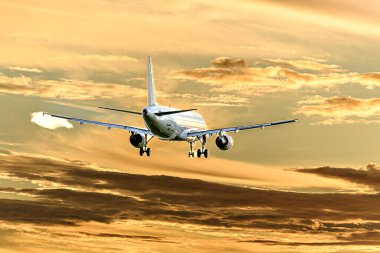 Barselona, İspanya; 1 Kasım 2023: Vueling şirketinin Airbus A320 uçağı, gün batımında Josep Tarradellas Barselona-El Prat havaalanına indi.
