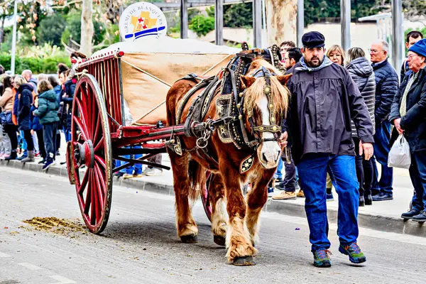 Igualada, Barselona, İspanya; 19 Ocak 2025: Igualada Üç Mezar Festivali. Antik Igualada Traginers loncasının 203. yıldönümünde şehir sokaklarında turlar.