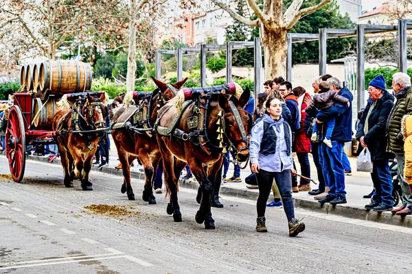 Igualada, Barselona, İspanya; 19 Ocak 2025: Igualada Üç Mezar Festivali. Antik Igualada Traginers loncasının 203. yıldönümünde şehir sokaklarında turlar.