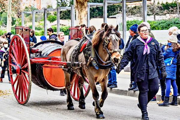 Igualada, Barselona, İspanya; 19 Ocak 2025: Igualada Üç Mezar Festivali. Antik Igualada Traginers loncasının 203. yıldönümünde şehir sokaklarında turlar.