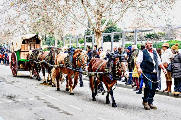 Igualada, Barselona, İspanya; 19 Ocak 2025: Igualada Üç Mezar Festivali. Antik Igualada Traginers loncasının 203. yıldönümünde şehir sokaklarında turlar.