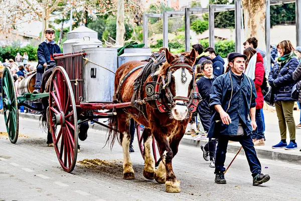 Igualada, Barselona, İspanya; 19 Ocak 2025: Igualada Üç Mezar Festivali. Antik Igualada Traginers loncasının 203. yıldönümünde şehir sokaklarında turlar.