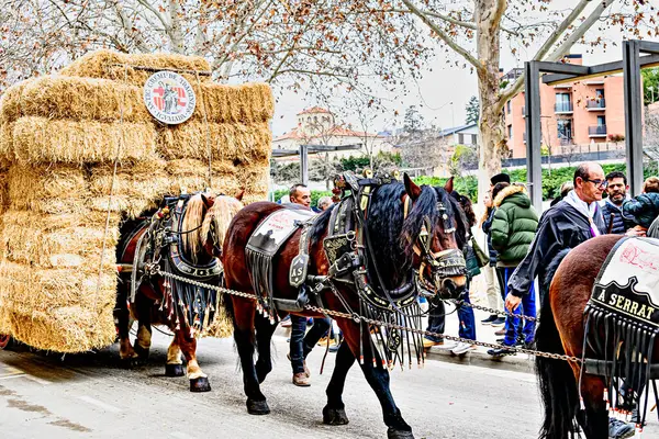 Igualada, Barselona, İspanya; 19 Ocak 2025: Igualada Üç Mezar Festivali. Antik Igualada Traginers loncasının 203. yıldönümünde şehir sokaklarında turlar.