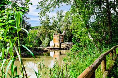 Guadaira Nehri kıyısındaki Algarrobo un değirmeni Alcal de Guadaira, Seville 'deki Oromana Parkı' nda.