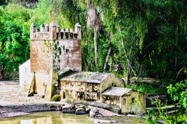 Guadaira Nehri kıyısındaki Algarrobo un değirmeni Alcal de Guadaira, Seville 'deki Oromana Parkı' nda.