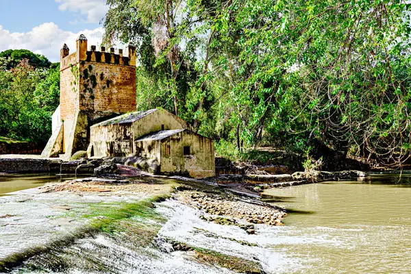 Guadaira Nehri kıyısındaki Algarrobo un değirmeni Alcal de Guadaira, Seville 'deki Oromana Parkı' nda.