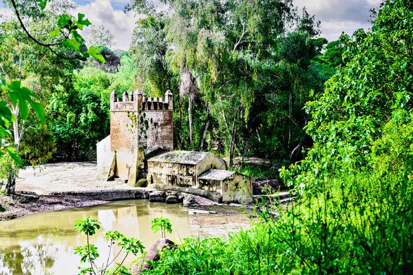 Guadaira Nehri kıyısındaki Algarrobo un değirmeni Alcal de Guadaira, Seville 'deki Oromana Parkı' nda.