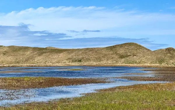 Miquelon, Saint-Pierre adası ve Miquelon, Fransa 'da bir Fransız adası, Fransızca Saint-Pierre-et-Miquelon olarak da bilinir..