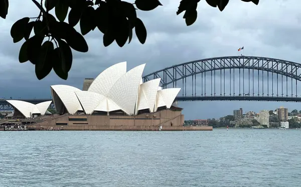 Iconic Sydney Skyline, Opera Binası ve Liman Köprüsü, Avustralya