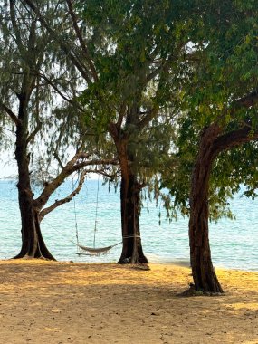Kamboçya 'daki Koh Russey Adası' nda gözlerden uzak ve el değmemiş plajlar. Kamboçya açıklarında bulunan Bambu Adası olarak da bilinen Koh Russey 'in el değmemiş zarafetine kaçın..