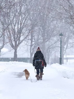 Kış Fırtınası Yürüyüşü: Parktaki Karla Savaşan Kişi ve Köpek. Bir kış fırtınasının dingin ama güçlü güzelliğini deneyimleyin. Yalnız bir figür, sadık köpekleri eşliğinde karla kaplı bir parkta yürürken..