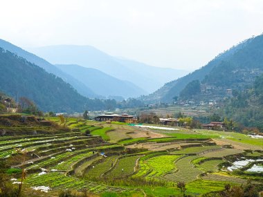 Punakha, Butan: Majestic Punakha Dzong 'un evi. Punakha, Bhutan 'ın en güzel ve tarihsel en önemli kalelerinden biri olan ikonik Punakha Dzong' un muhteşem manzarası.