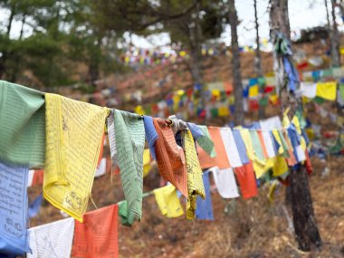 Thimphu, Butan: Himalaya Krallığı 'nda gelenek ve modernliğin bir karışımı. Thimphu 'nun çarpıcı manzarası, Bhutan' ın başkenti, Himalayalar tarafından çevrelenmiş yemyeşil bir vadiye yerleşmişti..