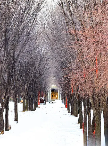 Forks Ulusal Tarih Bölgesi Winnipeg, Manitoba, Kanada: Kanada 'nın Yüreği. Winnipeg, Manitoba 'nın büyüleyici manzarası canlı şehir manzarası, kültürel simgeleri ve geniş açık çayır gökyüzü. Forks 'la tanınan.