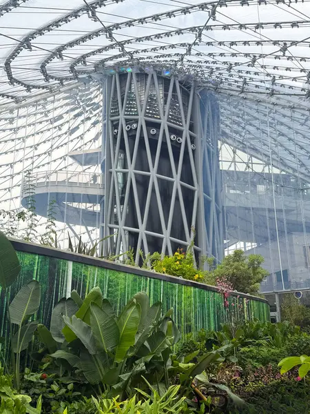 Assiniboine Park ve Yaprak, Winnipeg Manitoba 'nın Kalbinde Yeşil Oasis. Winnipeg, Manitoba 'daki Assiniboine Parkı' nın çarpıcı bir manzarası var..