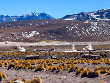 Gayzer - Chiles Atacama Çölü, dünya dışı manzaralar, tuz düzlükleri, gayzerler ve yıldızlı kayak dünyaları ile göz kamaştırıyor..
