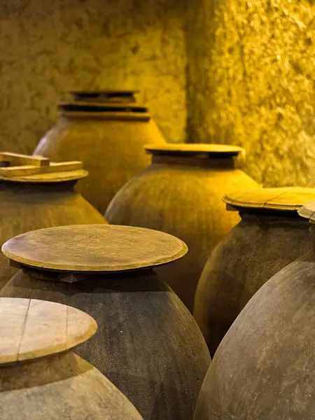 Chiles Casablanca Vadisi cazibesi, sarmaşık bağları, gevrek şaraplar ve büyüleyici manzara, lezzet ve doğanın mükemmel bir karışımı..