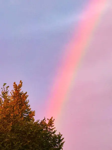 Parlak Renkler ve Bulutlarla Gökyüzünde Canlı Gökkuşağı. Yağmur yağdıktan sonra gökyüzünde göz kamaştırıcı bir gökkuşağı canlı renklerle uzanıyor. Gökkuşağının bu doğa olayı umudu, barışı ve çeşitliliği simgeliyor..