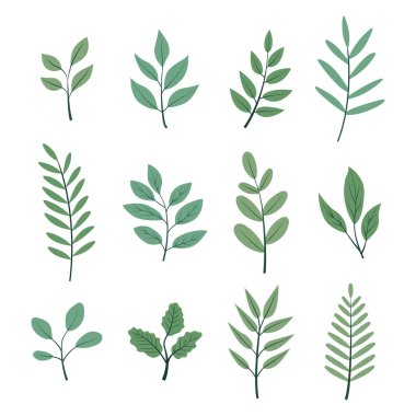 Düz tasarım yeşil botanik yaprak koleksiyonu