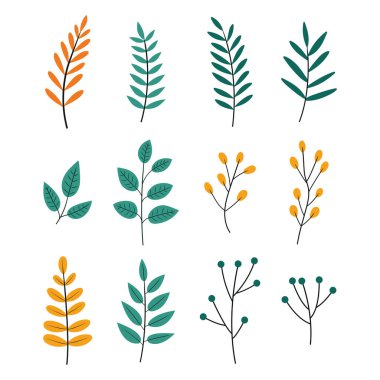 Düz tasarım botanik yaprak koleksiyonu